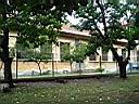 22--curte-lic-vechi.JPG