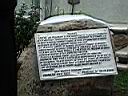 DSC04553.jpg