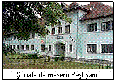 Casetă text:  
Şcoala de meserii Peştişani
