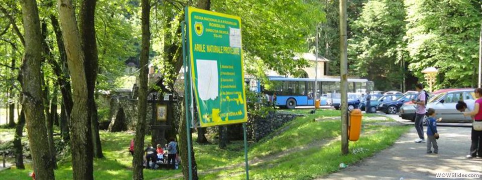 DSC04175
