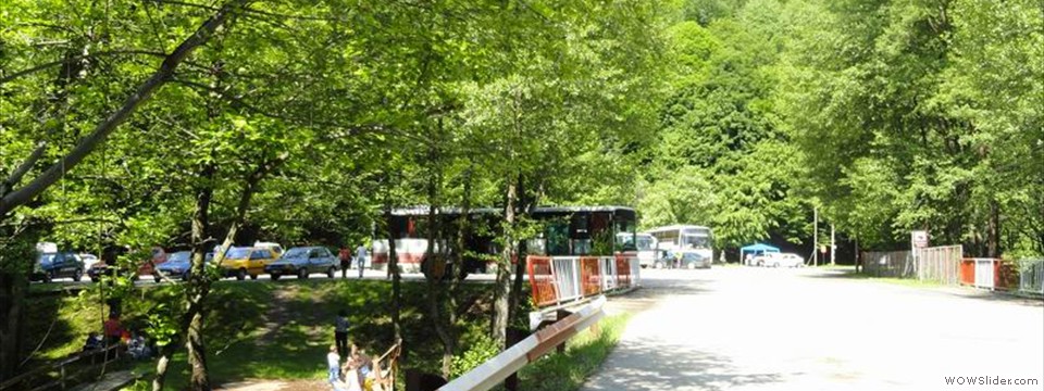 DSC04190