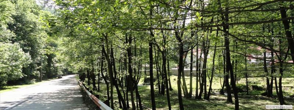 DSC04200