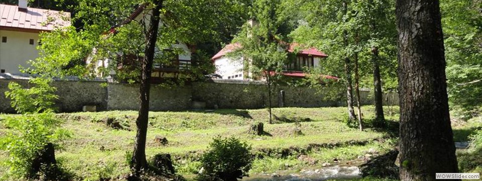 DSC04207