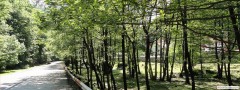 DSC04200