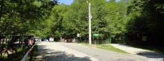 DSC04202