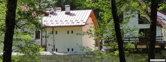 DSC04205