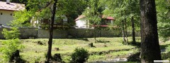 DSC04207