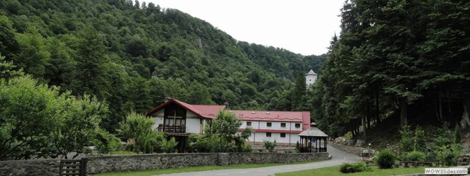 DSC02015