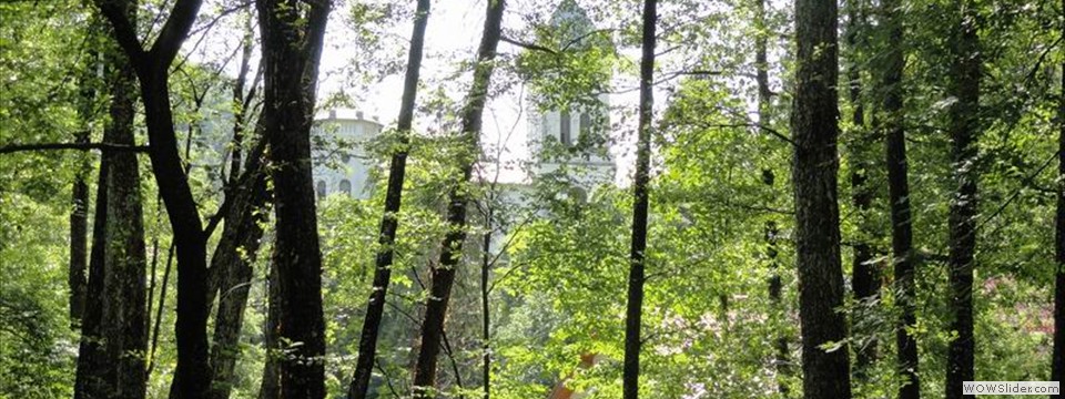 DSC04219