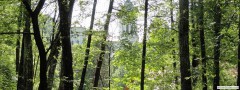 DSC04219
